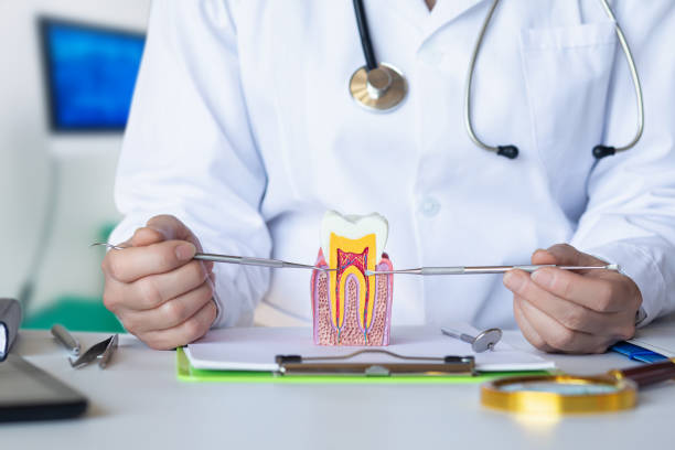 Best Pediatric Emergency Dentist in Grandy, NC